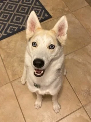 Sadie+2.jpg