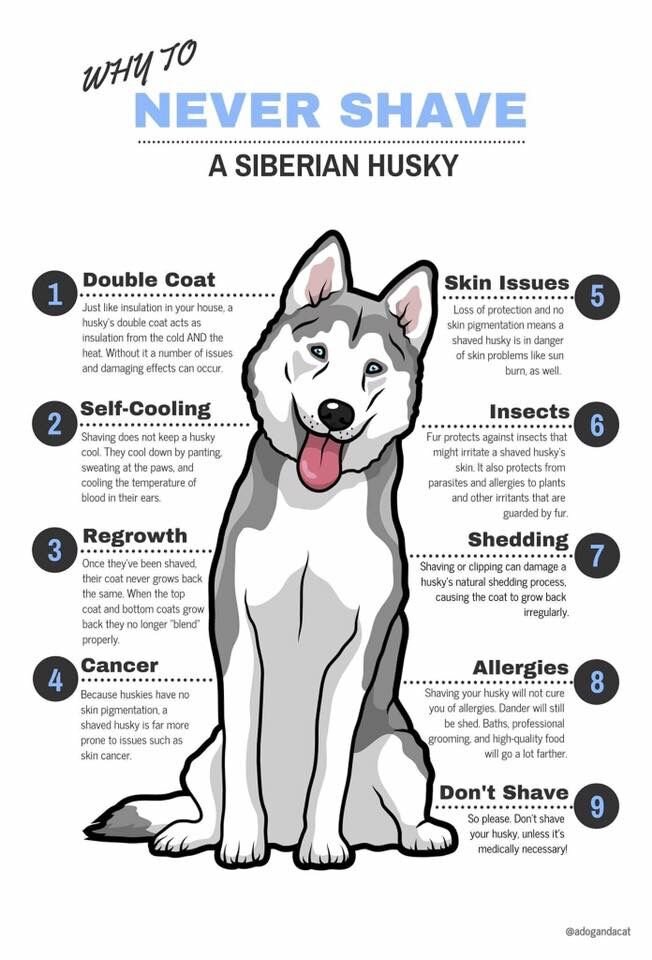 10 Reasons Why Your Hot Water Is Only Lukewarm - Husky Vaughan