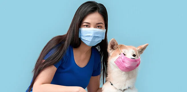 Preparing Your Dog for Your Return to Work