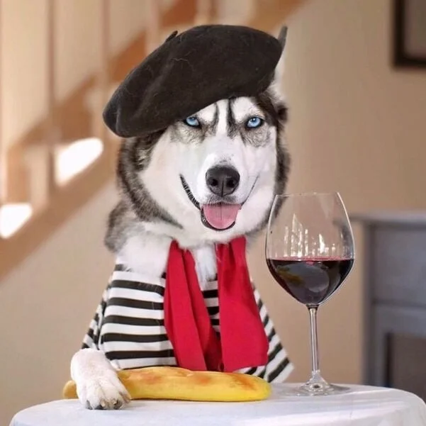 A Dog Safe Halloween is a Happy Halloween