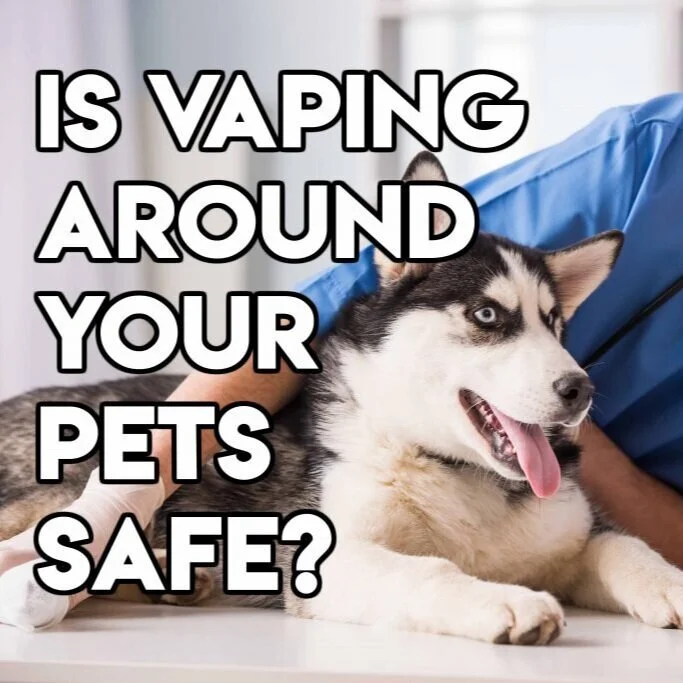 E-Cigarettes and Dogs