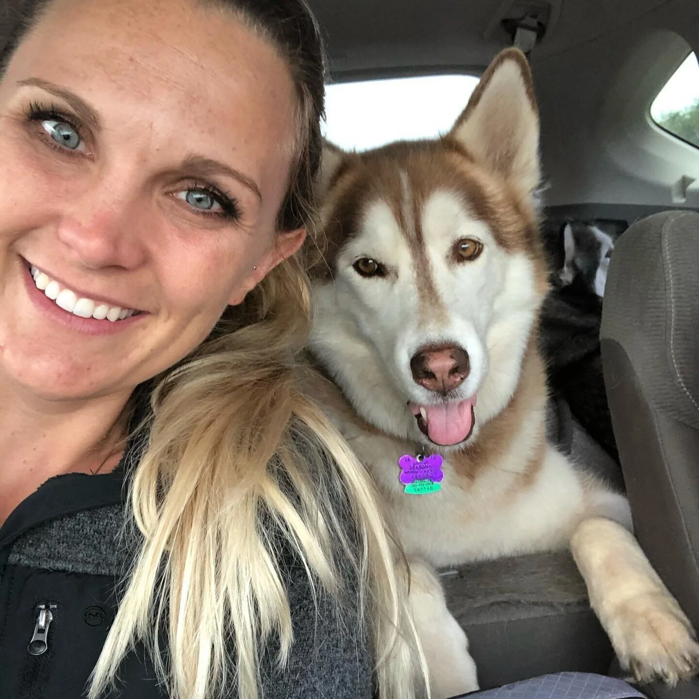 Keeping Dogs Safe in Disasters