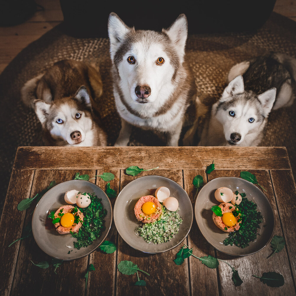 how much should i feed a husky puppy