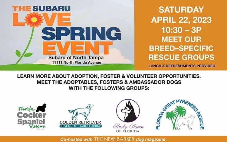Subaru of North Tampa Adoption Event