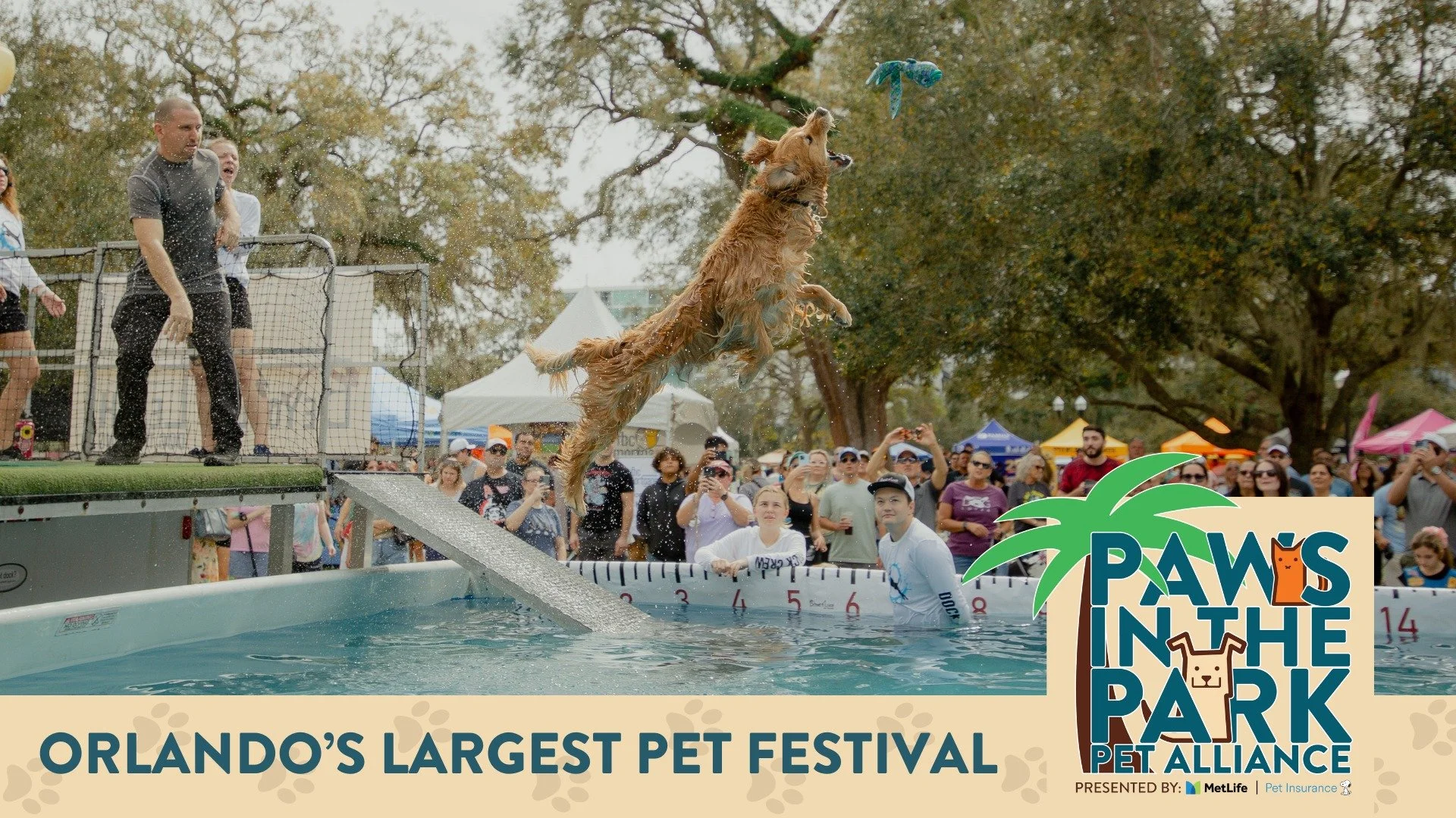 Paws in the Park