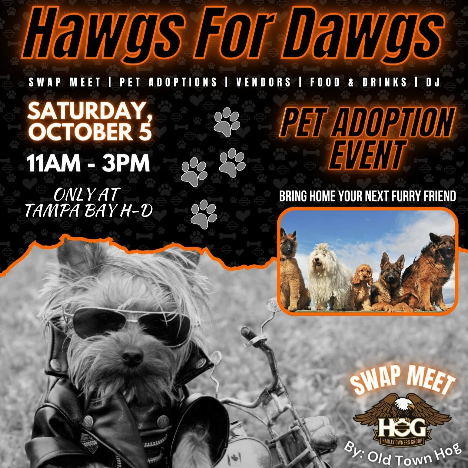 Haws for Dawgs
