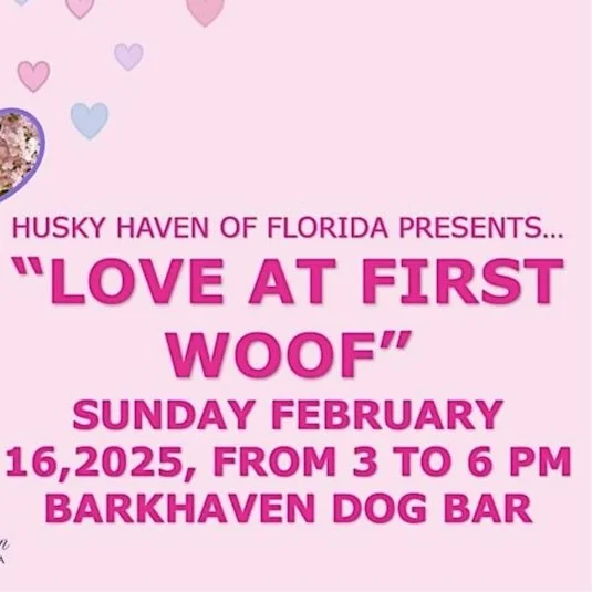 Love at First Woof