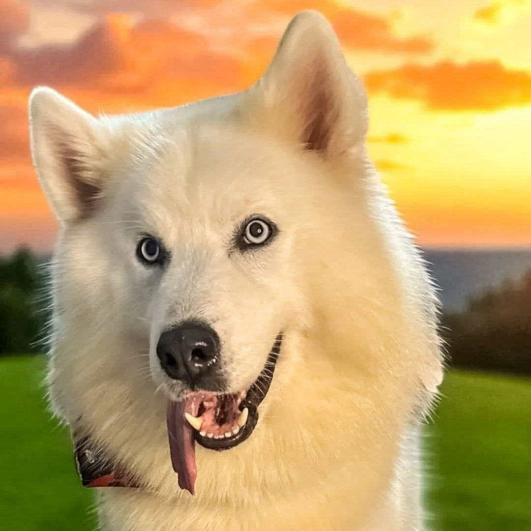 Duncan