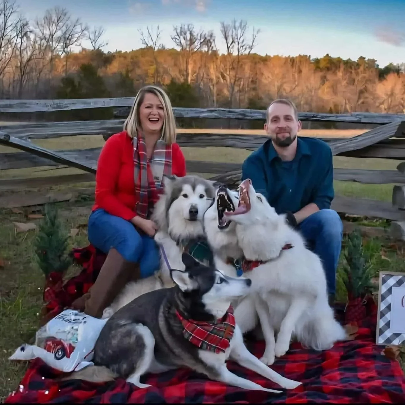 Life with a Senior Husky