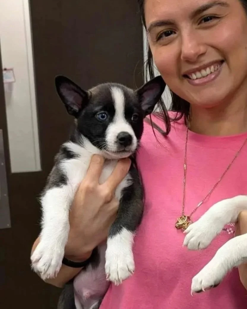 cb184862-f525-4a6b-bd3b-123d5d7fe132.jpg