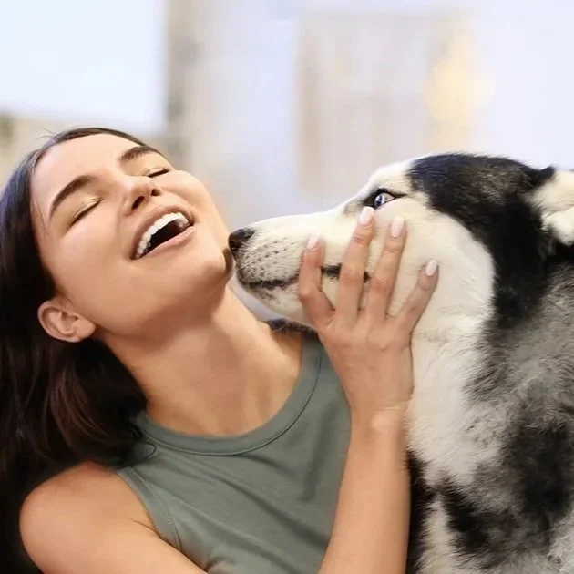 Why Huskies Lick You