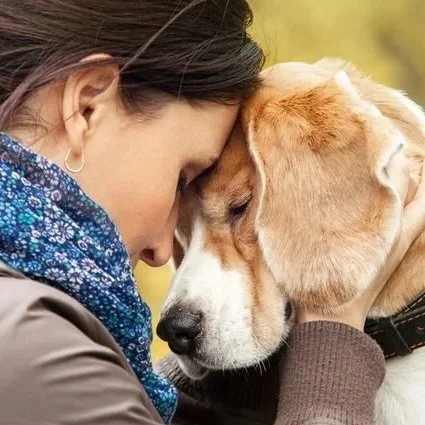 Dealing with Guilt after Pet Euthanasia