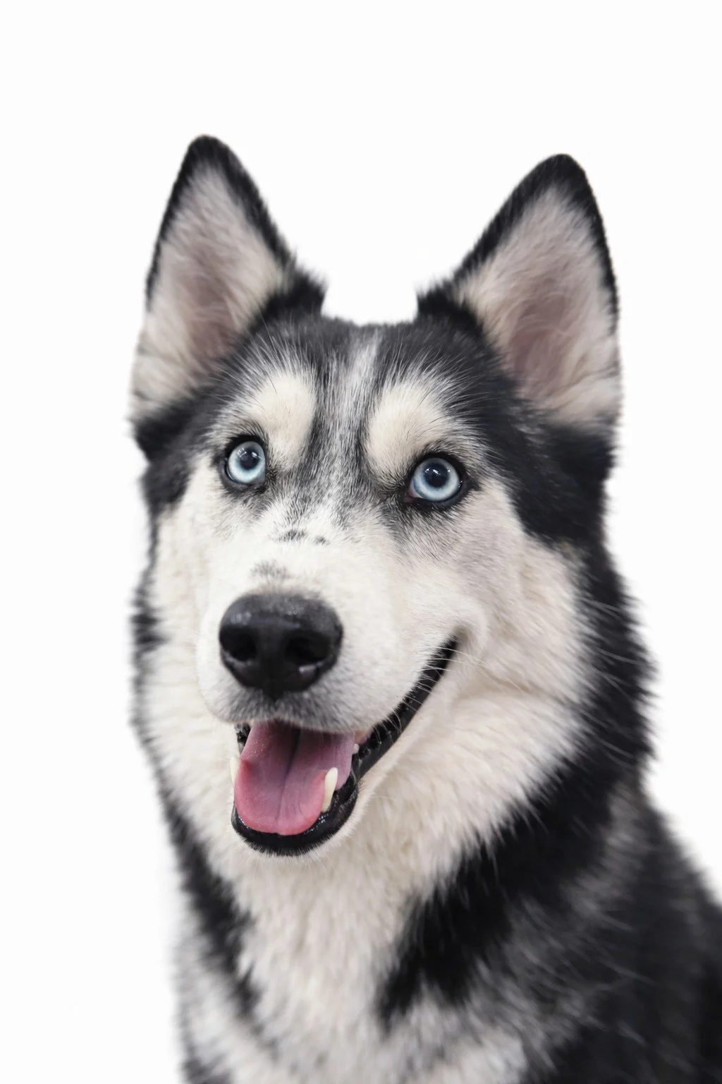 ChatGPT Image Feb 18, 2026, 10_28_59 PM.jpg