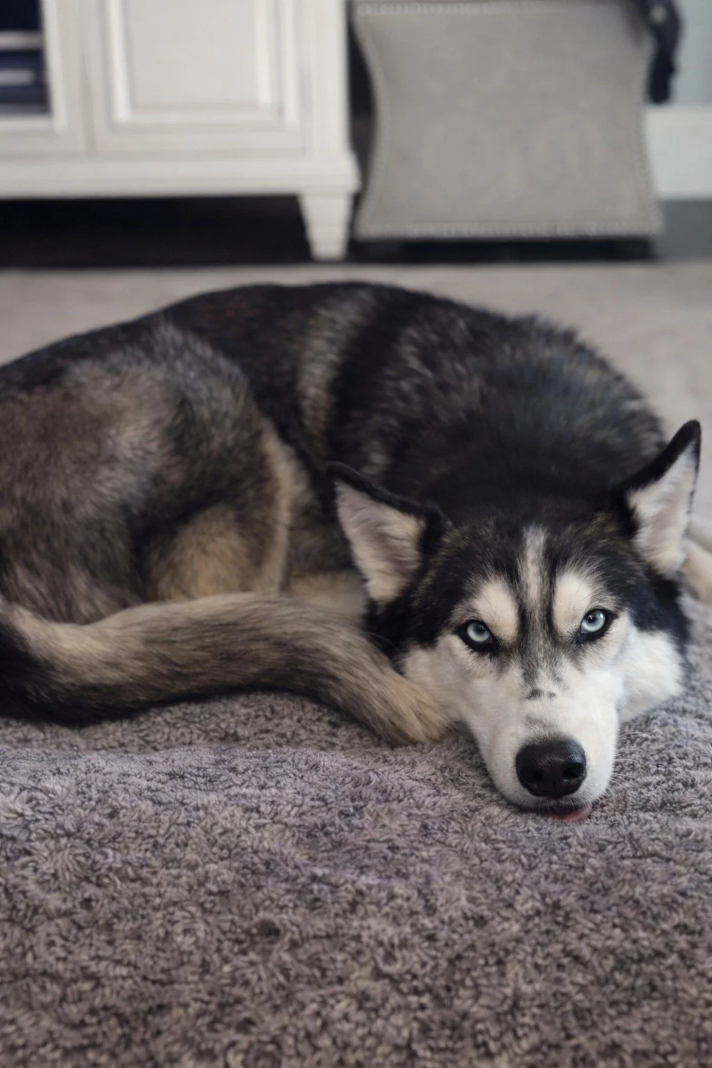 ChatGPT Image Feb 18, 2026, 10_32_19 PM.jpg