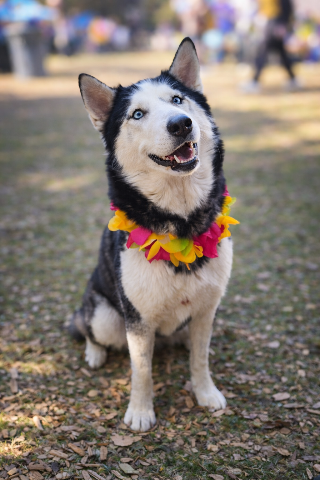 f6df53a7-430f-4409-be8e-4013b50a8120 (1).png