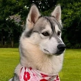 Delilah