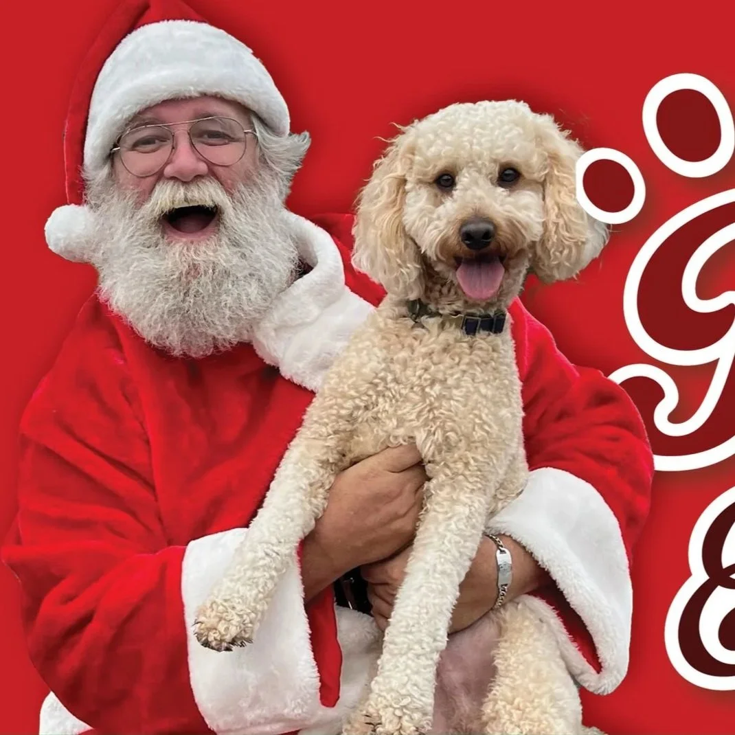 Paws &amp; Claus 2026