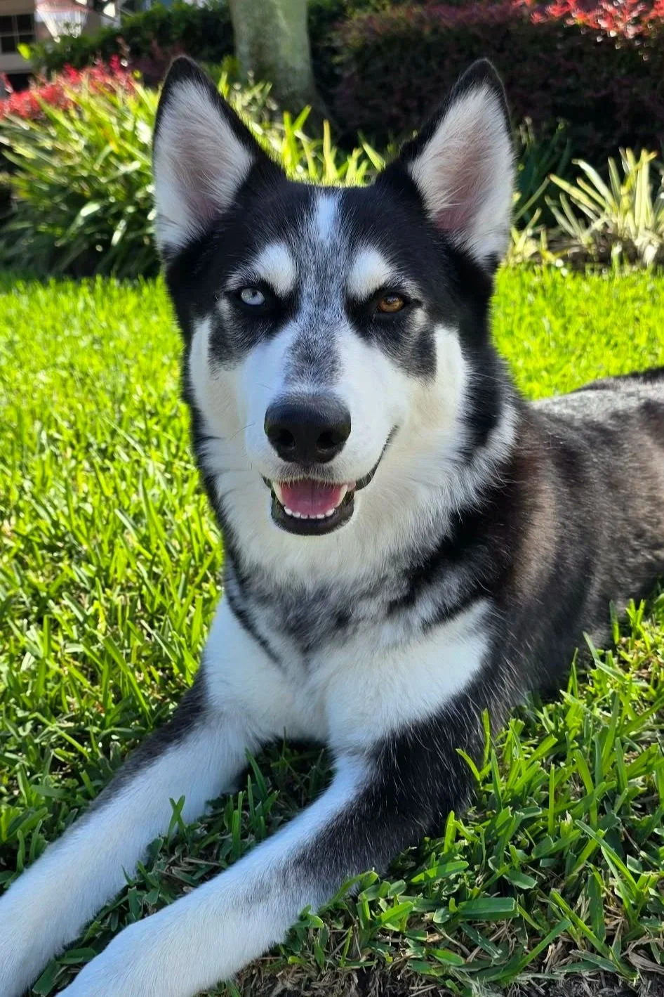 864f34a3-333d-4194-947f-acd8de9839db.jpg