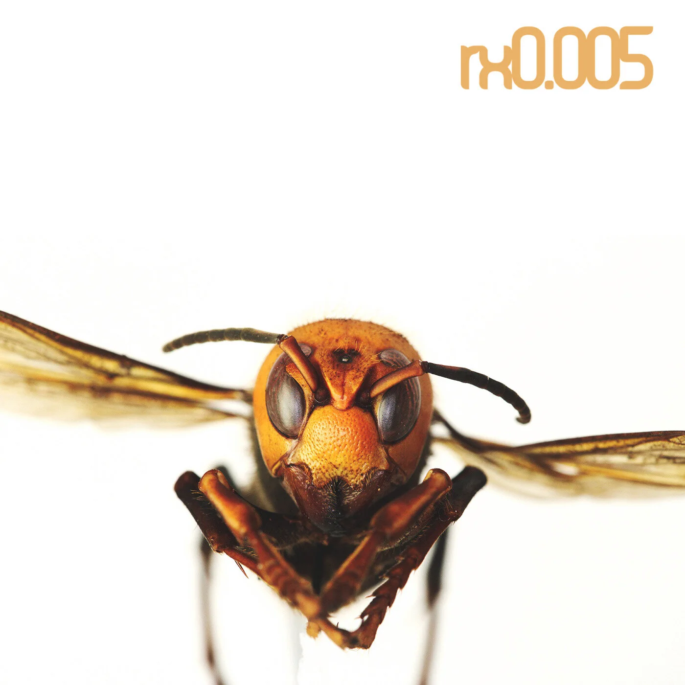 rx0.005