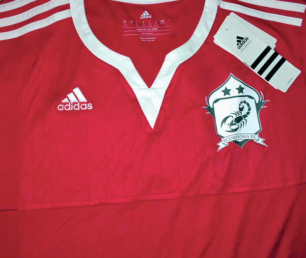  Logo design printed on jersey 