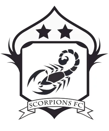  Logo design for community soccer team 