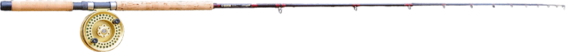 rod.gif