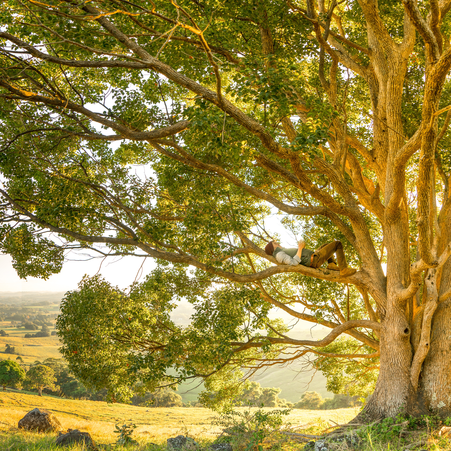 How to Go on a Writing Retreat and Not Lose Your Mind