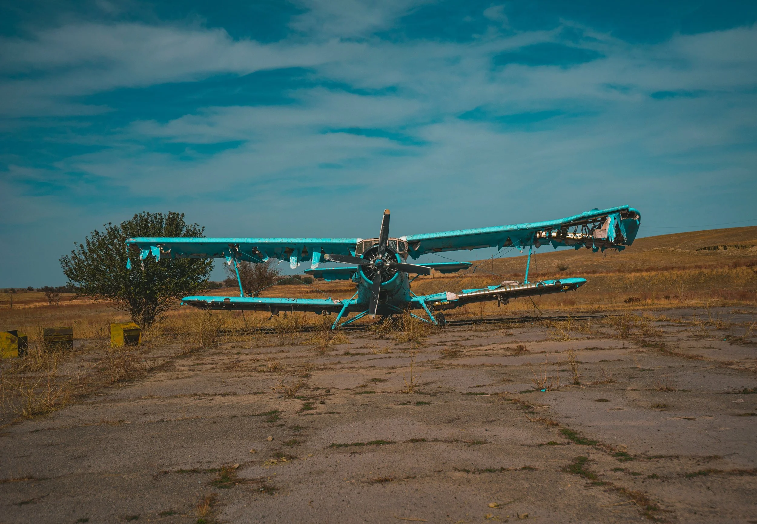 Writing: An Argument