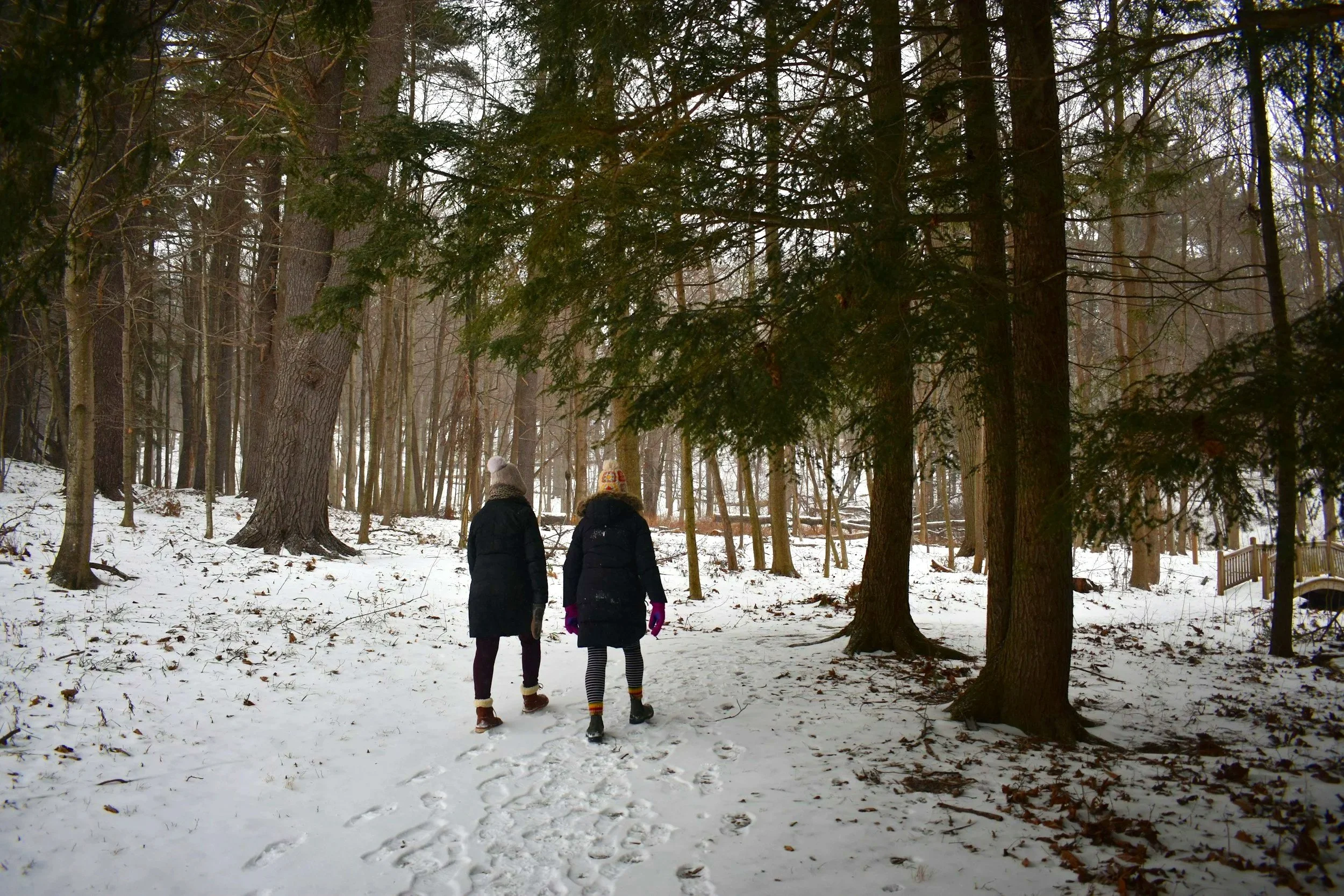 The Fracturing of Female Friendships