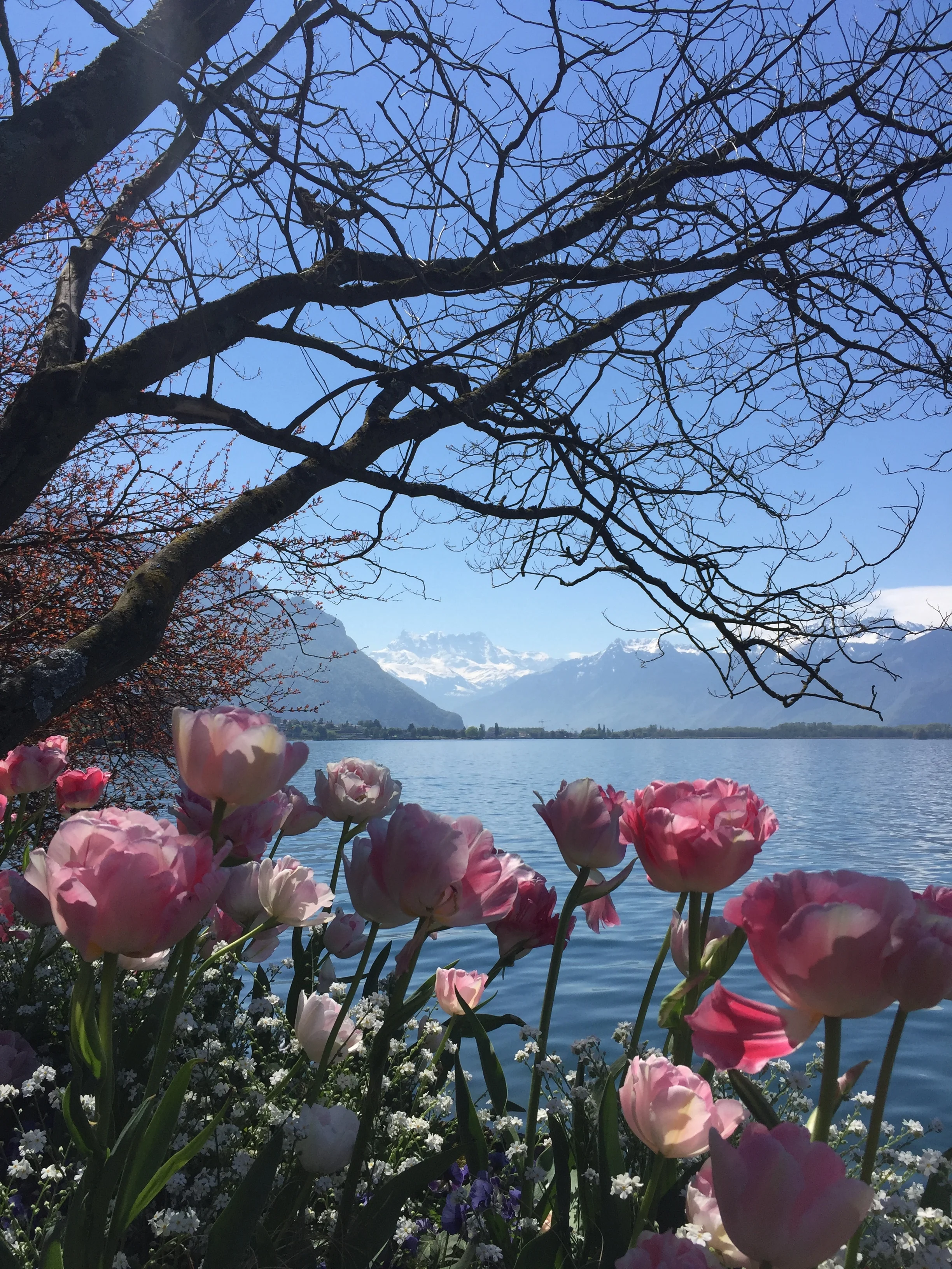 File 04-01-2018, 00 23 37.jpeg