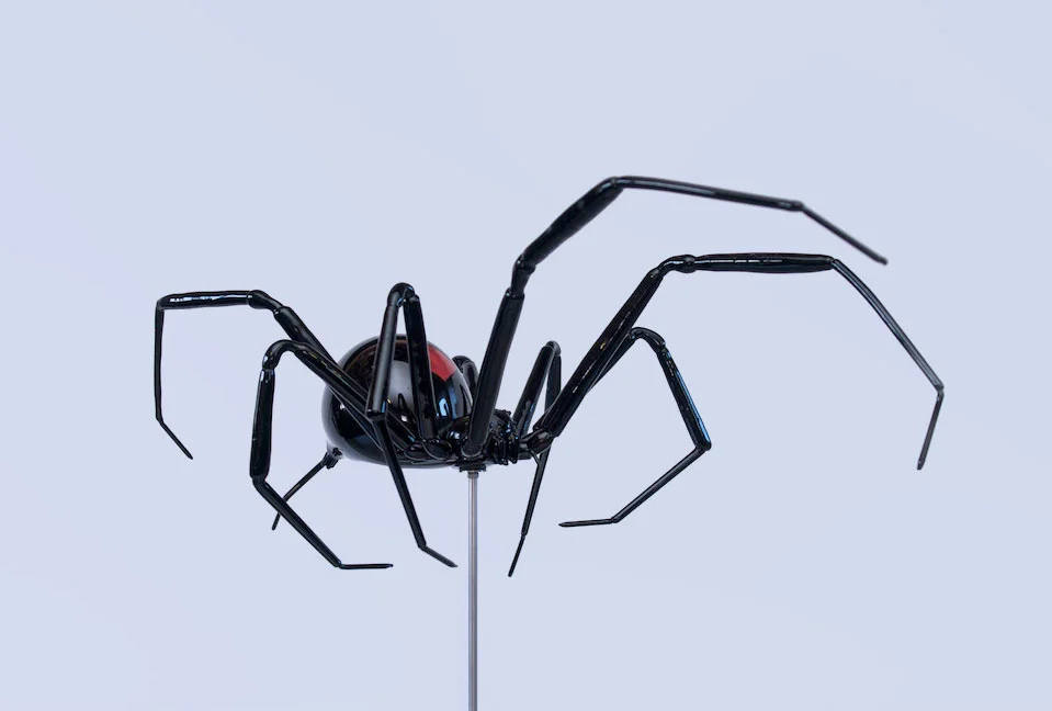 SPIDER00.jpg