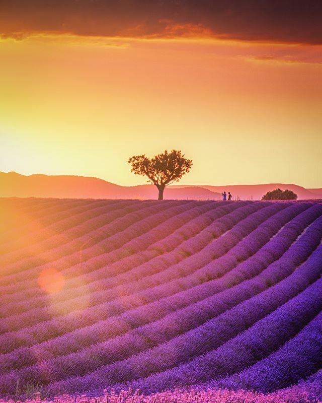 What do you think these two guys were discussing during this amazing sunset on the lavender fields?⁠
⁠
Probably where to get dinner... in Provence it's one of the hardest tasks to find a restaurant opened until late😅⁠ ⁠
⁠
⁠
-------------------------