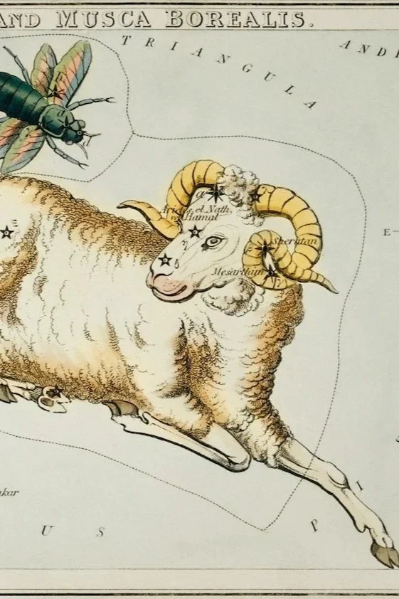 April Moon Memo's - Monthly Astrological Outlook with Rachel