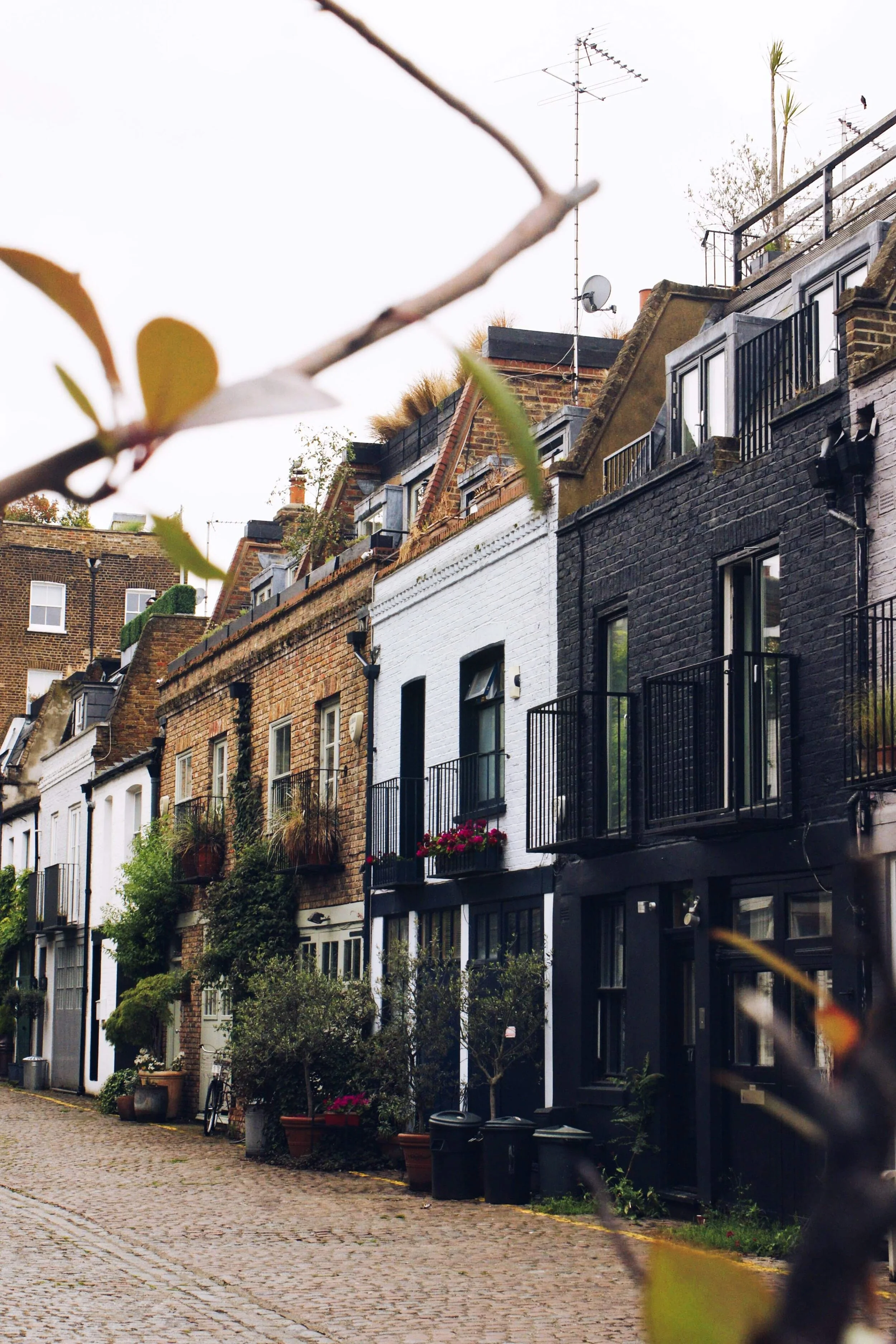 BTR Stock Up 135% And Accounts For 1% Of All Rental Properties