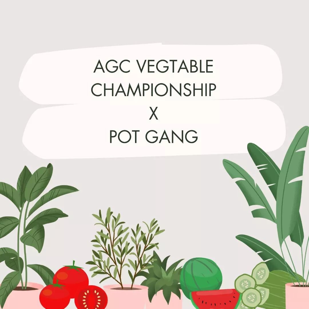 Sowing seeds of friendly rivalry in the AGC planting challenge! 🌾🌱

In celebration of Earth Day we have teamed up with @pot.gang to host a 'Vegetable Championship' for AGC's best farmers who produce the highest quality fruit and veg.

Stay tuned in