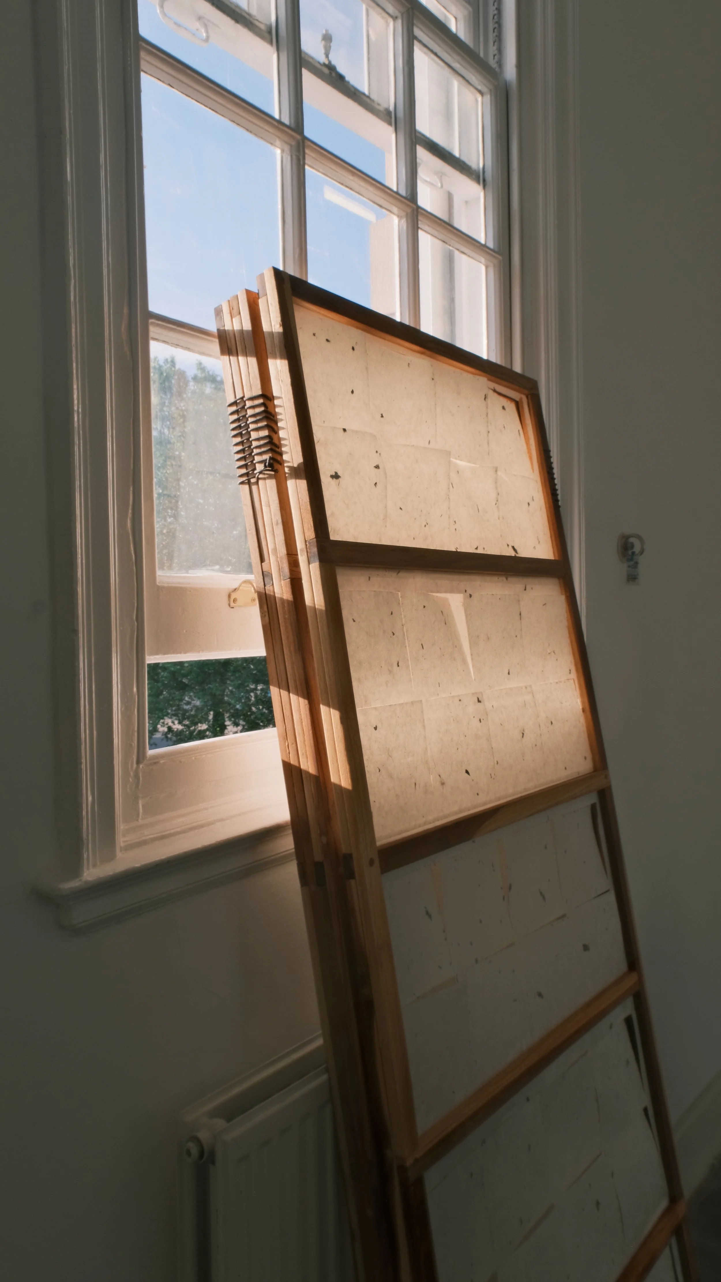 Winner_Folded in light.JPG