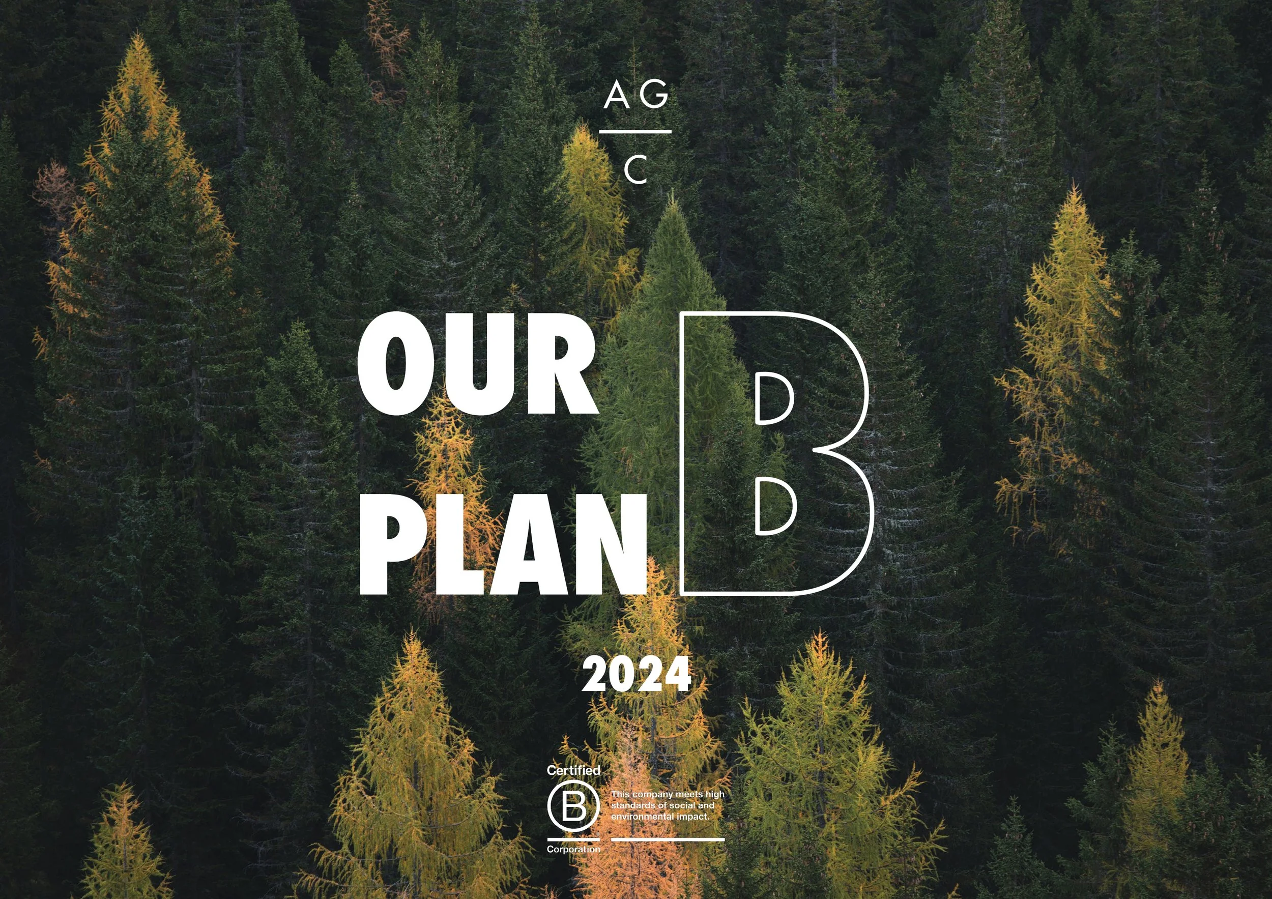 Plan B, And Making It Count: Our 2024 Impact Highlights