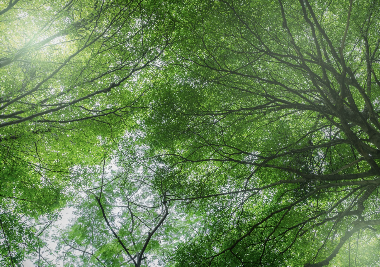 Our First Step Toward Scope 3: Why Transparency in Furniture Matters