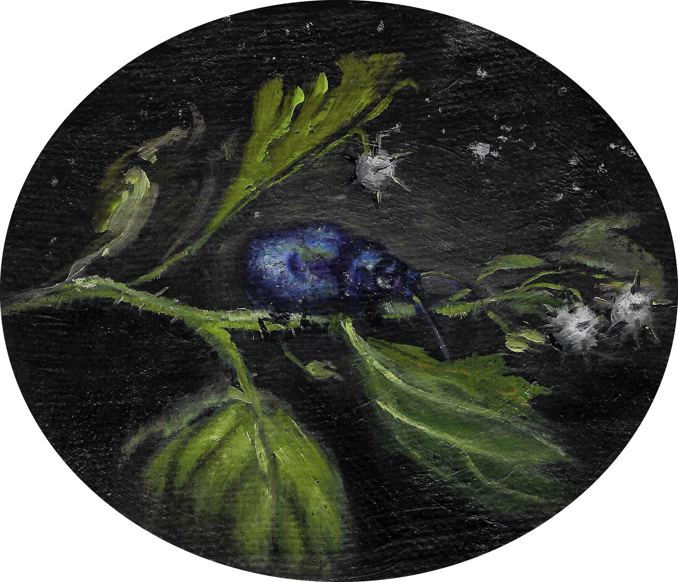 'Mint Leaf Beetle by Moonlight,' 2017