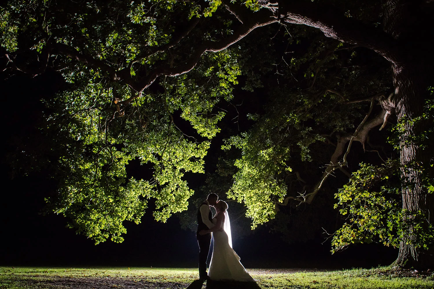 jma-photography-wedding-couple-under-tree.jpg