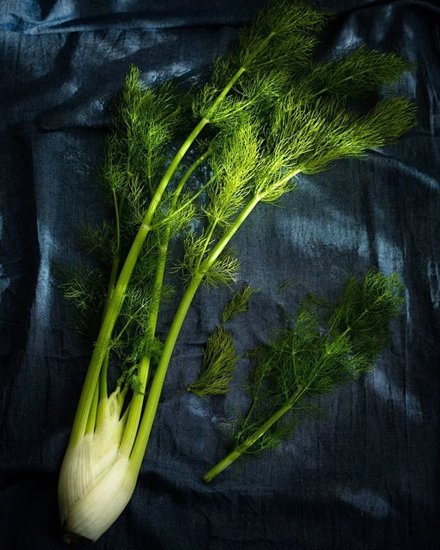 Fresh fennel from my local market