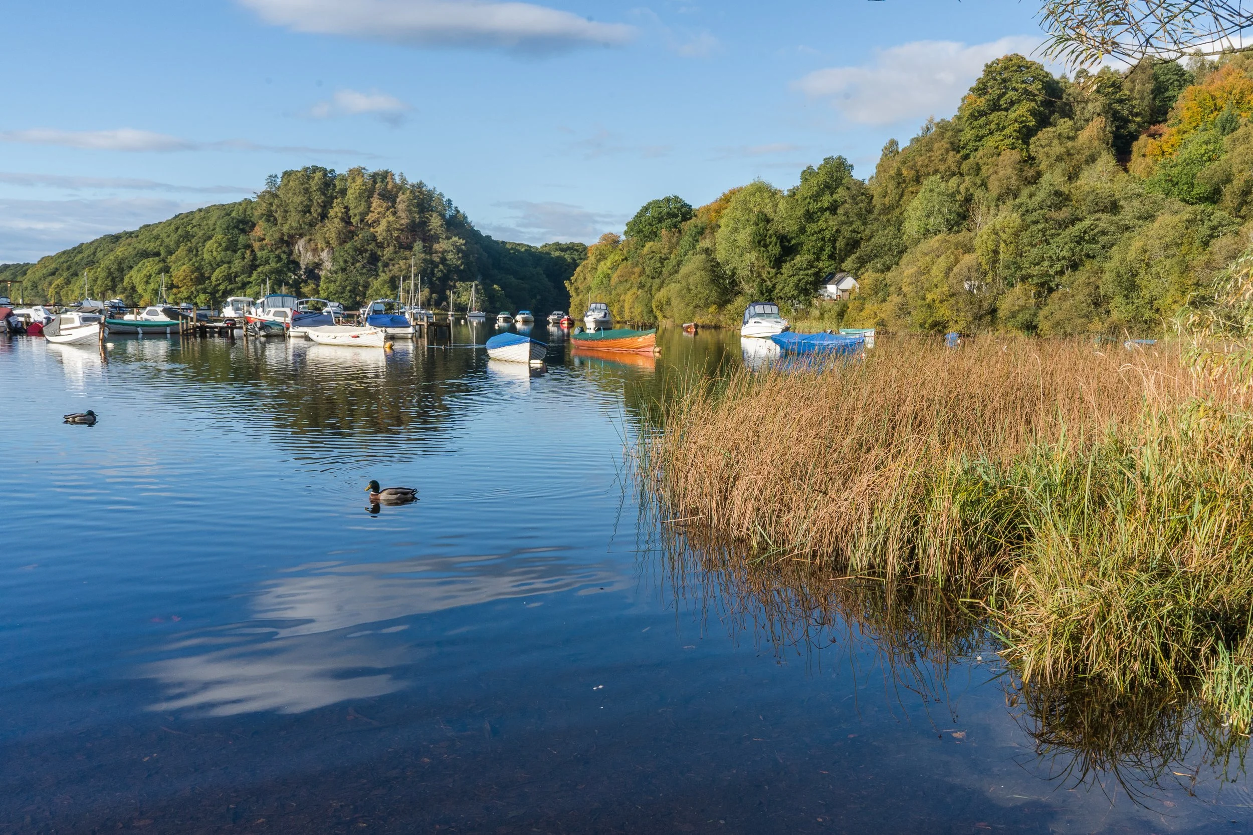 Balmaha-Loch-Lomond.jpg