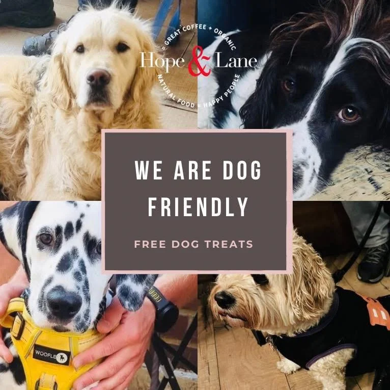 Dogs are welcome at Hope and Lane. Here are just some of our gorgeous dog visitors! 

#internationaldogday #dealkent