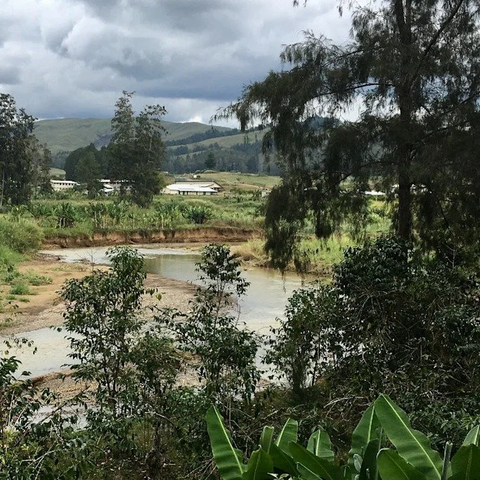 We have a new coffee!

Our new coffee is grown sustainably on a small coffee farm in the mountainous Eastern Highlands Province of Papua New Guinea, a large island in the Pacific Ocean to the north of Australia.

The coffee is grown slowly in shade, 