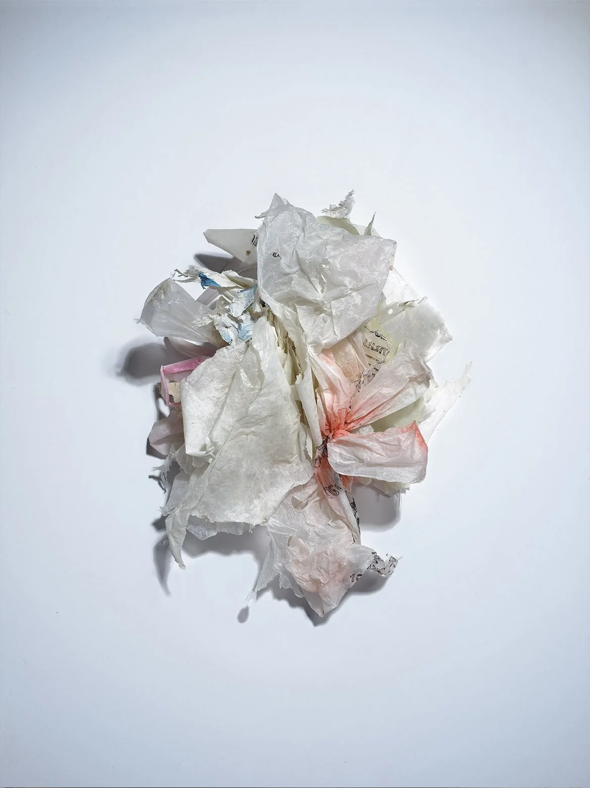 Pro-Capture One 1372 copy.jpg