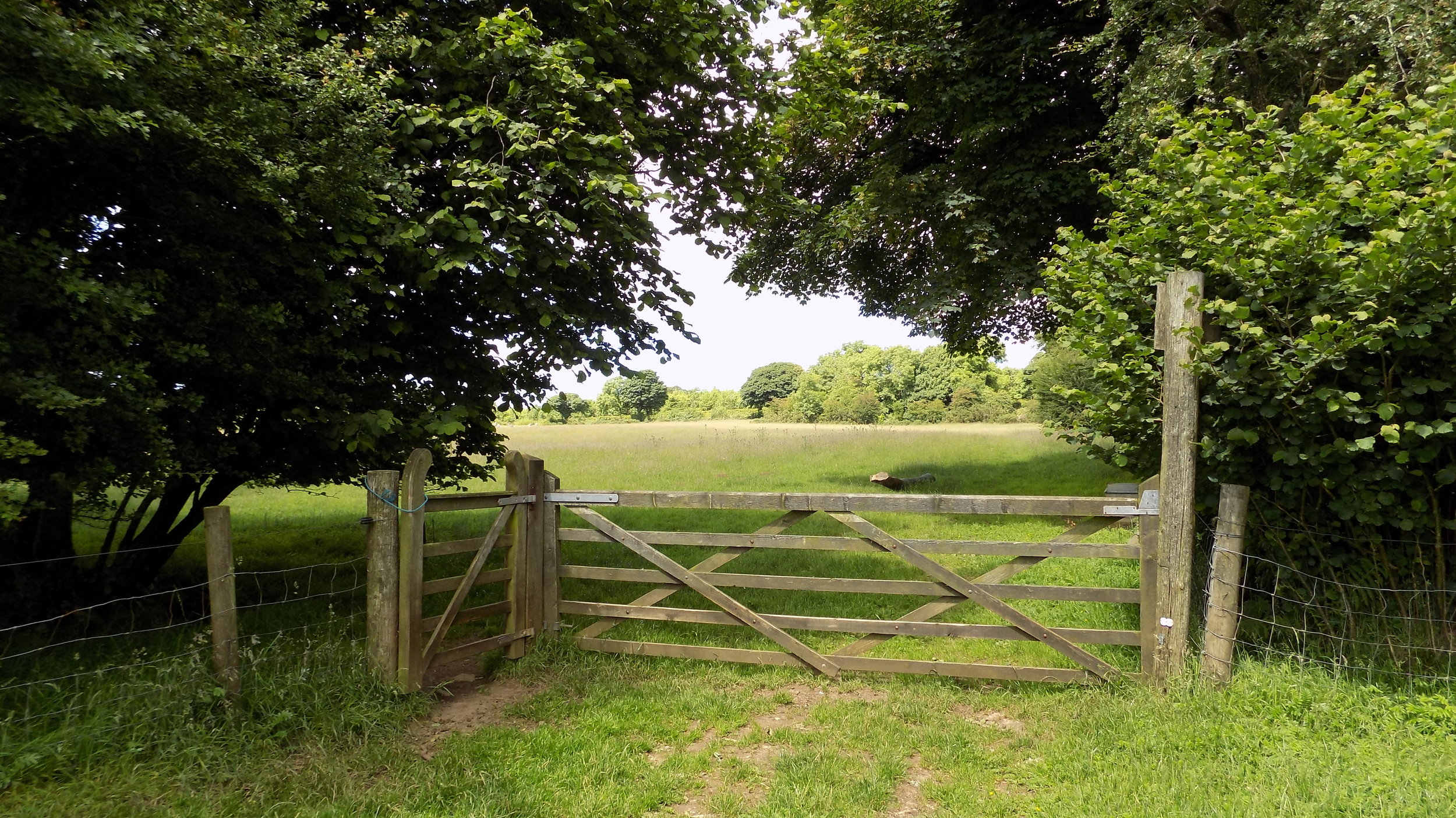 ceremony field gate.JPG