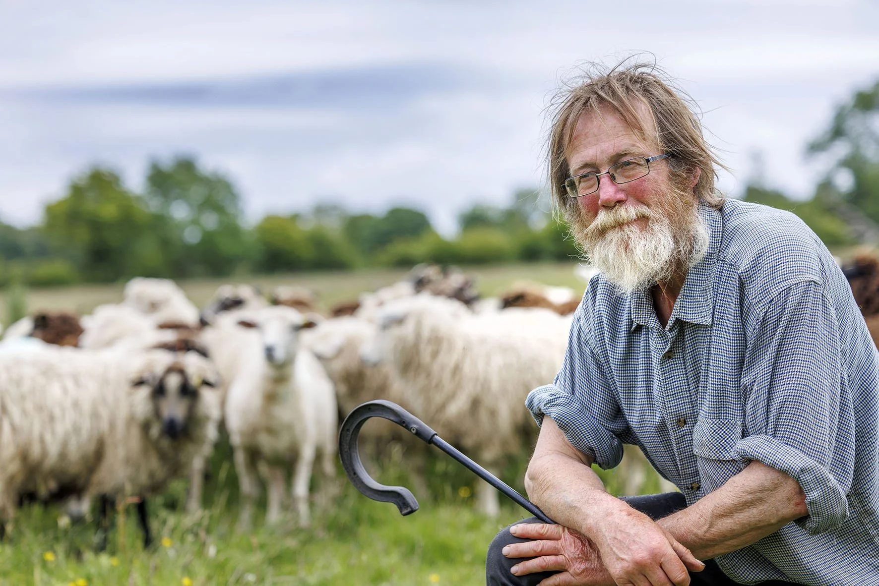 Andy with his crook and sheep LOWRES183.JPG