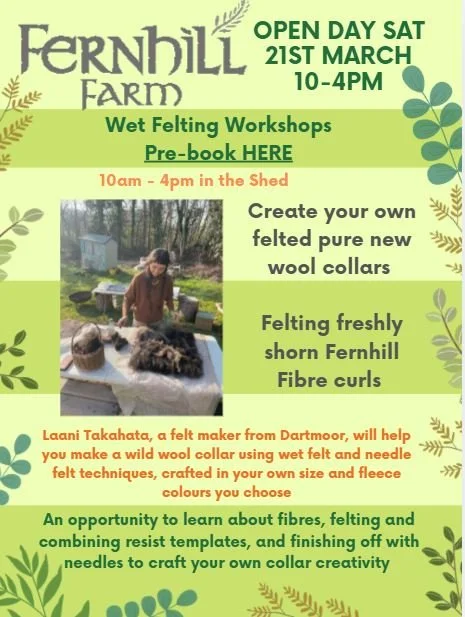 Wet Felting with laani.JPG