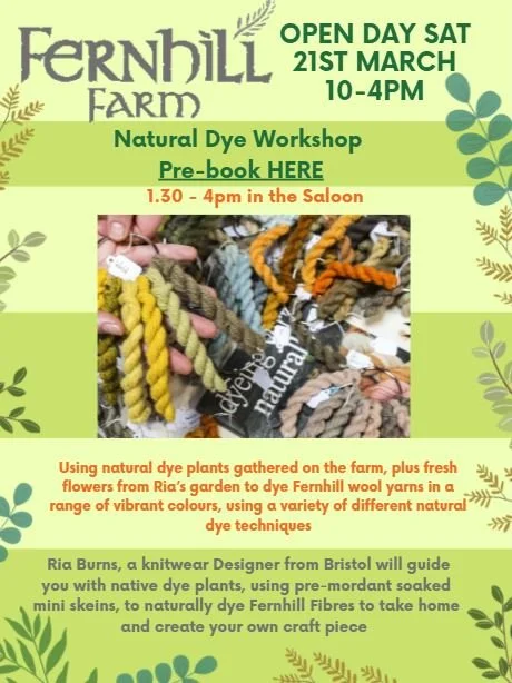 Natural Dyes with Ria Burns.JPG