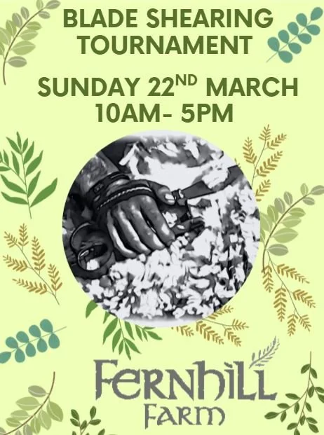 Blade Tournament.JPG